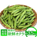 【ふるさと納税】<期間限定>夏の元気の源!朝採れ新鮮いぶすきオクラ(約3.5kg)おくら オクラ 豆 野菜 鹿児島県 そうめん 納豆 キムチ 【指宿促成青果】