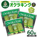【ふるさと納税】鹿児島県指宿市産オクラ『オクラキング』60本 オクラ おくら 野菜 夏野菜 旬 特産 夏 新鮮 鹿児島県【やまげ】
