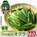 【ふるさと納税】栽培期間中、農薬の使用を抑えた指宿産オクラ160本(8本入×20袋) オクラ おくら 減農薬 野菜 夏野菜 旬 特産 夏 新鮮 鹿児島県【エコオクラグループ】