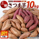 【ふるさと納税】<期間限定><訳あり・不揃い>鹿児島県指宿市産!家庭用さつまいも3種詰め合わせセット(合計約10kg) 鹿児島 さつまいも さつま芋 サツマイモ...