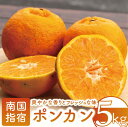 【ふるさと納税】<期間限定!2025年12月上旬頃以降順次発送>鹿児島県指宿産!ポンカン(約5kg)※北海道・離島配送不可※ 鹿児島 ポンカン ぽんかん 果物 くだもの フルーツ 柑橘 いぶすき 露地栽培 ご家庭用【岩崎農園】