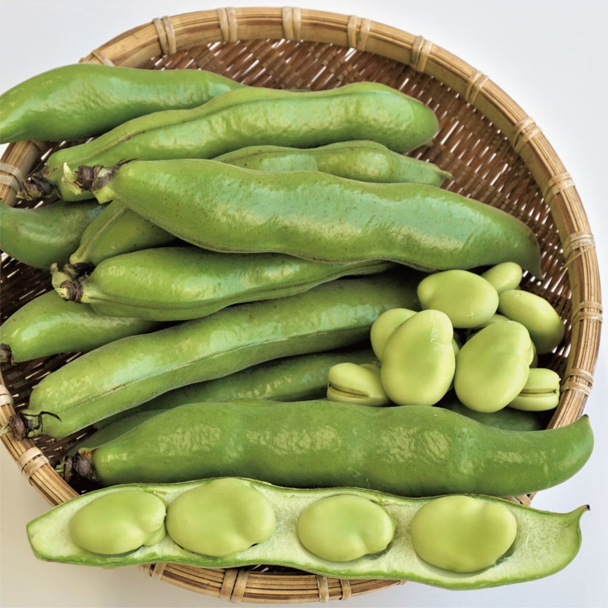 鹿児島県指宿市の画像3