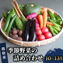 【ふるさと納税】旬の野菜をお届け!鹿児島県指宿産の季節の野菜の詰め合わせ(10〜13品目) 野菜 詰め合わせ 旬 大容量 国産 お取り寄せ お楽しみボックス 【...