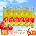 【ふるさと納税】指宿マンゴーサイダー(330ml×24本) サイダー 瓶 ジュース 炭酸 ドリンク 飲み物 炭酸飲料 詰め合わせ ご当地ドリンク 【岡村商店】