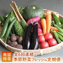 【ふるさと納税】<定期便!翌月から連続全6回>指宿産季節野菜の詰め合わせ(10~13品目) 定期便 野菜 詰め合わせ 旬 野菜ボックス お楽しみボックス 【岡村...