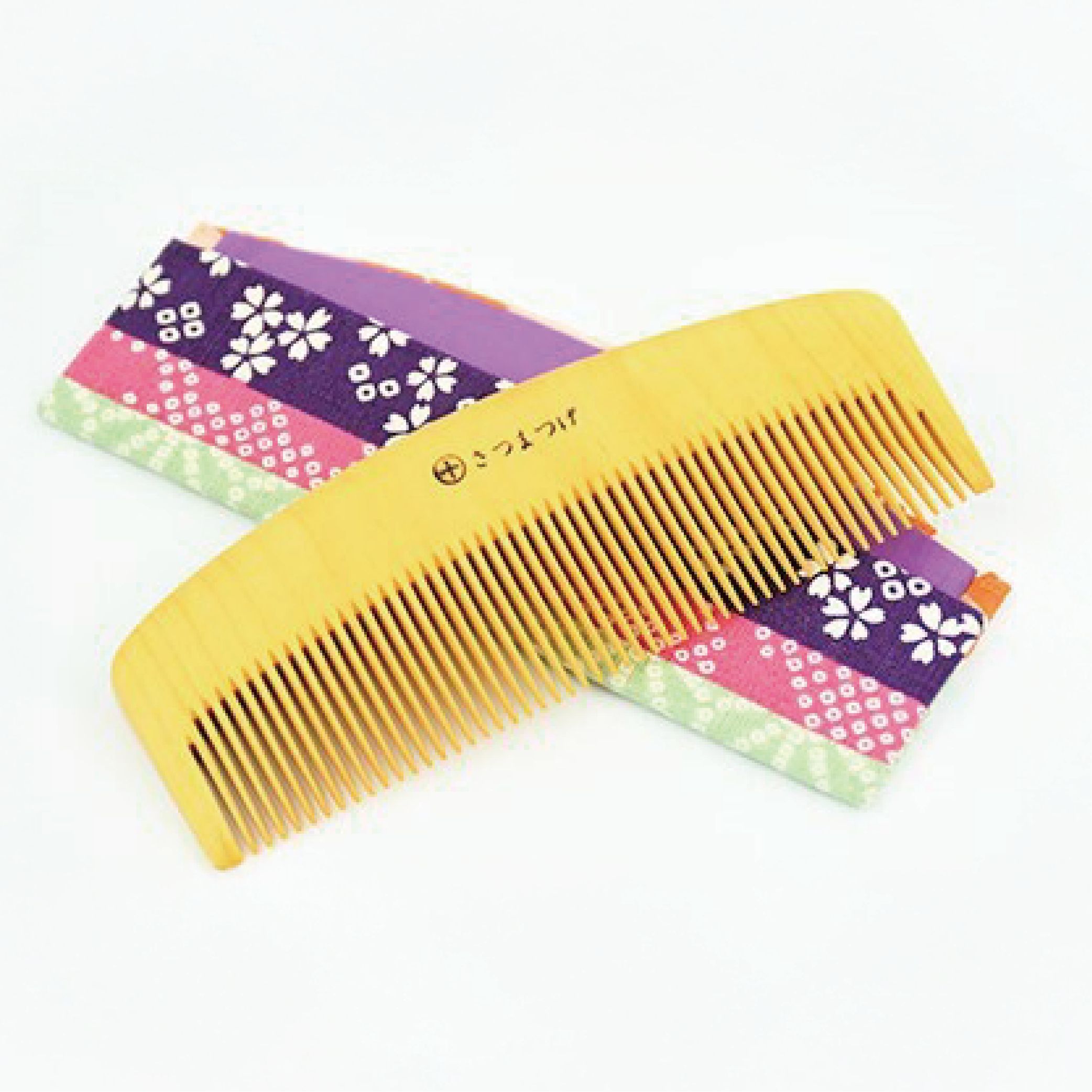 鹿児島県指宿市の画像3