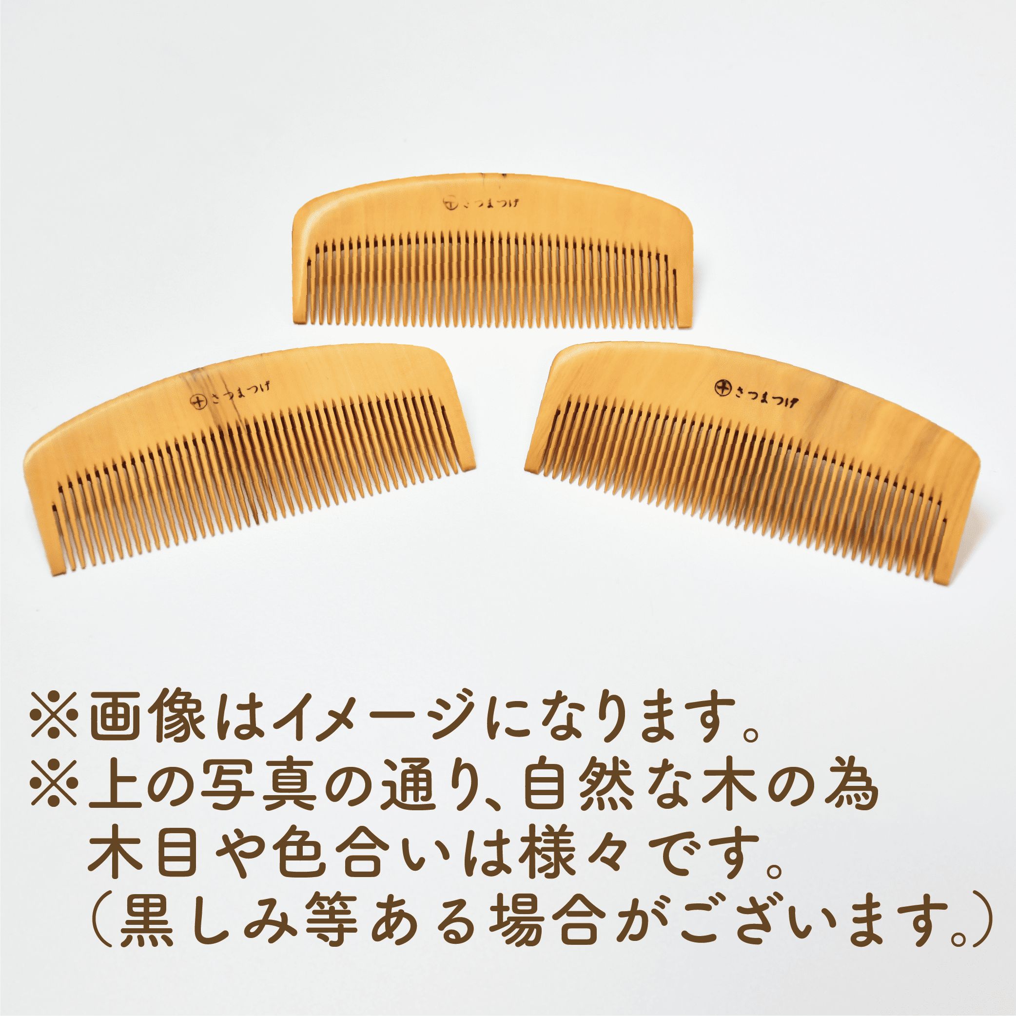 鹿児島県指宿市の画像2