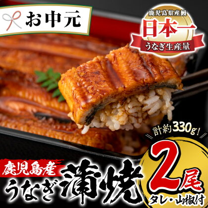 ＜お中元ギフト＞鹿児島県産！うなぎ蒲焼(無頭背開き)約165g×2尾(タレ・山椒付) うなぎ 鰻 ウナギ 鹿児島 国産 蒲焼き かばやき 冷凍 うな重 ひつまぶし【山中水産】