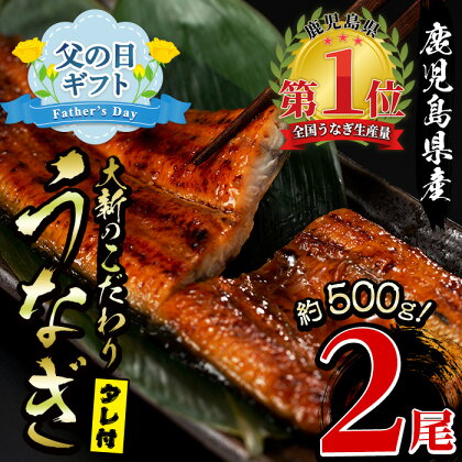 ＜父の日ギフト＞鹿児島県産うなぎ蒲焼じっくり焼き(約250g×2尾・木目化粧箱入り) うなぎ 鰻 ウナギ 無頭 鹿児島 国産 蒲焼 蒲焼き かばやき うな重 ひつまぶし 丑の日 レンジ 簡単 小分け ギフト 贈答 贈り物 冷凍 プレゼント 父の日【大新】