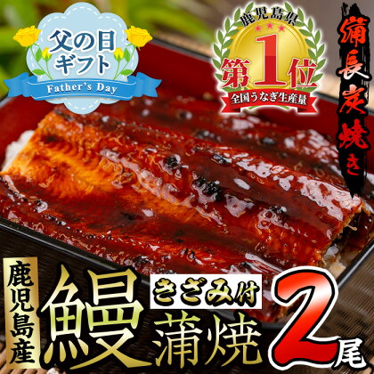 ＜父の日ギフト＞うなぎ生産量日本一！鹿児島産鰻蒲焼きざみセット(有頭背開き長焼2本、きざみ2袋・タレ、山椒付)うなぎ 鰻 ウナギ 鹿児島 国産 蒲焼き かばやき 冷凍 うな重 ひつまぶし きざみ うな丼 うな重 備長炭 プレゼント 贈り物 父の日【奈良】