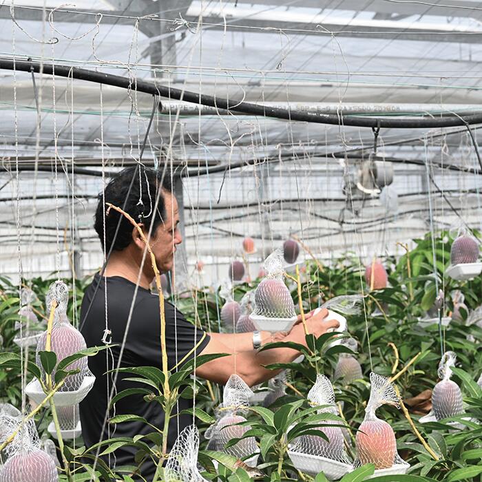 鹿児島県指宿市の画像3