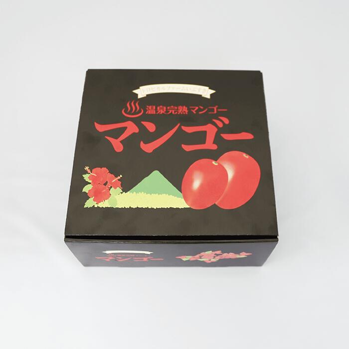 鹿児島県指宿市の画像2