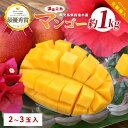【ふるさと納税】<先行予約受付中!2025年7月中旬〜発送予定>指宿産 温泉完熟マンゴー約1kg(2〜3玉) 鹿児島 指宿市 マンゴー 果物 くだもの フルーツ...