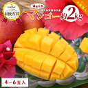 【ふるさと納税】<先行予約 2026年7月中旬~> 南国指宿産 温泉完熟マンゴー 約2kg(4~6個)化粧箱入 鹿児島 マンゴー 産地直送 高級果物 プレミアムフルーツ 完熟 温泉マンゴー お取り寄せ とろける甘さ ジューシー 夏の味覚 旬 【トロピカルフルーツ&プランツ】