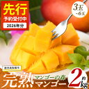 【ふるさと納税】<先行予約受付中!2026年7月上旬以降順次発送>指宿産しあわせ完熟マンゴー(約2kg・3玉~6玉) 国産 南国 指宿産 鹿児島 アップルマンゴー マンゴー 果物 くだもの フルーツ 完熟 産地直送 お取り寄せ 夏 ギフト 贈答用【マンゴーの森】