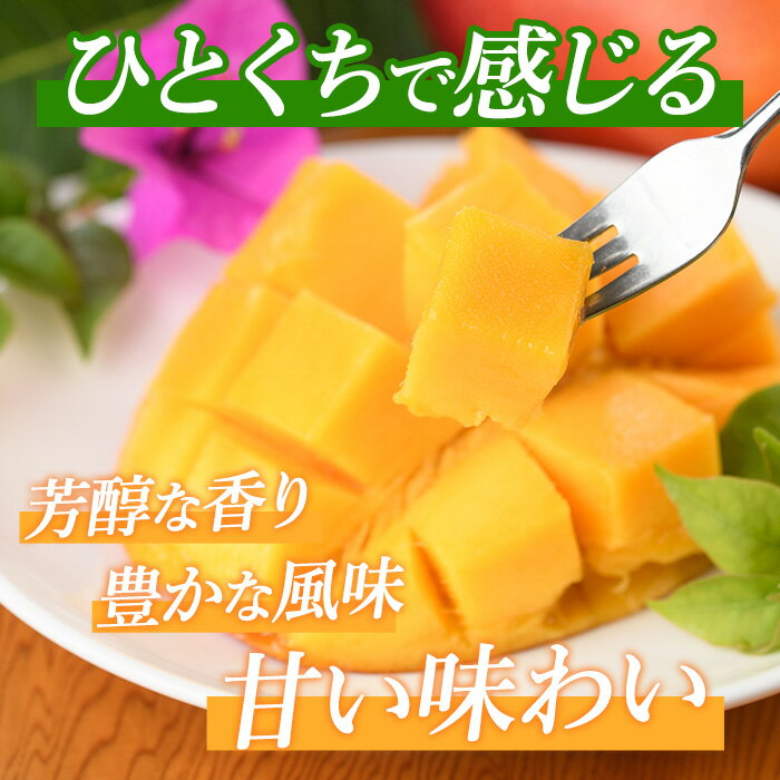 鹿児島県指宿市の画像3