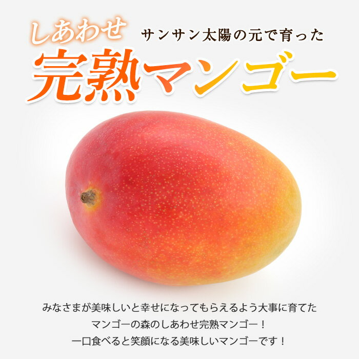 鹿児島県指宿市の画像2