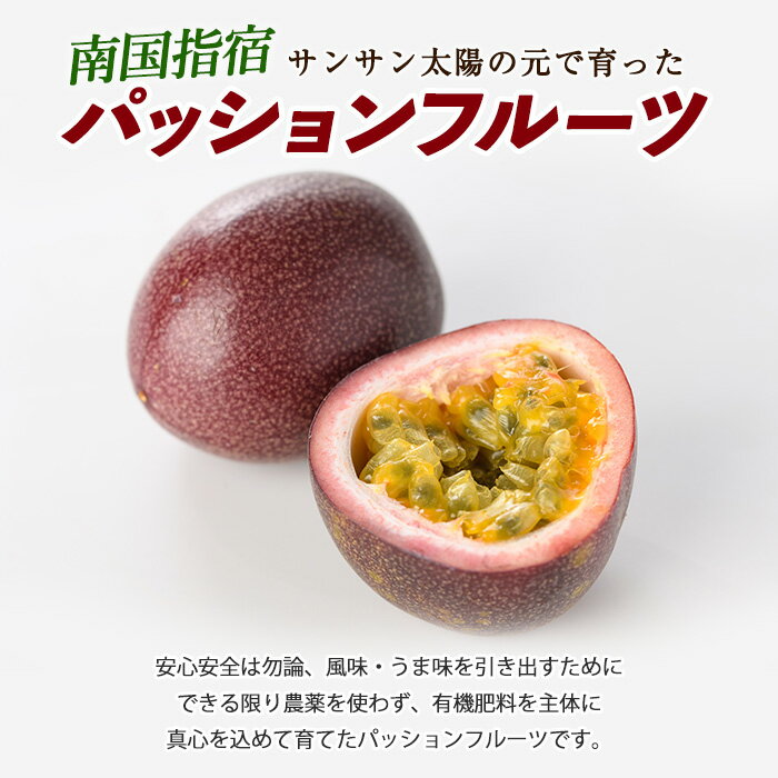 鹿児島県指宿市の画像2