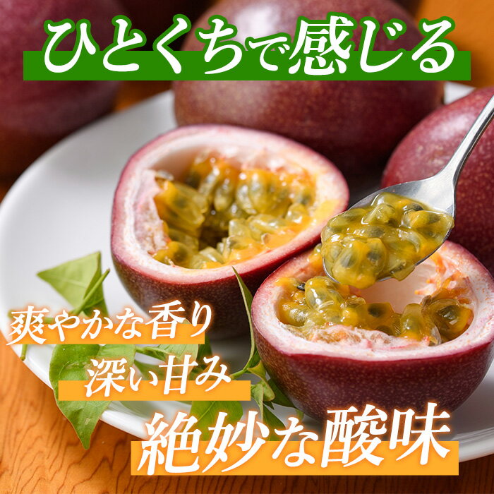 鹿児島県指宿市の画像3