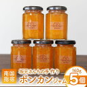 【ふるさと納税】みかん農家・坂元さんちの手作りポンカンジャム(160g×5個入)無添加・無着色・無香料にこだわったマーマレード! ポンカン マーマレード ジャム...