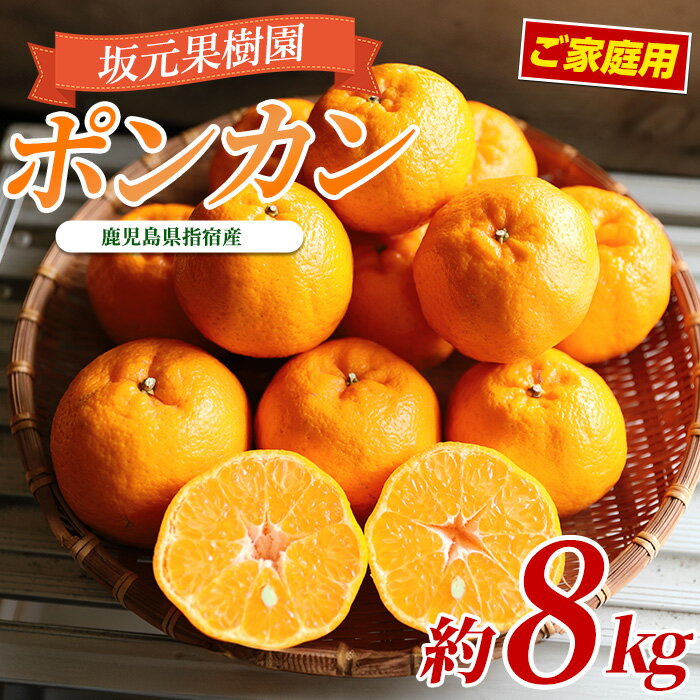 141位! 口コミ数「2件」評価「5」＜2026年1月上旬以降順次発送＞訳あり！みかん農家 坂元さんちのポンカンご家庭用 (約8kg) 鹿児島 ポンカン ぽんかん 果物 くだもの フルーツ 柑橘 訳あり いぶすき 常温 常温保存【坂元果樹･･･ 