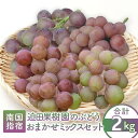 【ふるさと納税】【2025年8月上旬〜順次発送】<期間限定>迫田果樹園のぶどう 指宿産ぶどうのおまかせミックスセット(4〜6房・約2.0kg) ぶどう ブドウ ...