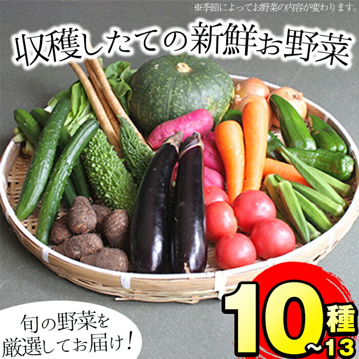 【ふるさと納税】旬の野菜をお届け！鹿児島県指宿産の季節の野菜
