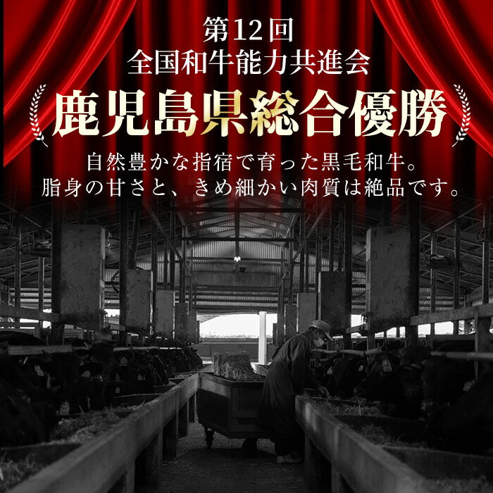 【ふるさと納税】＜国産！鹿児島県産A4未経産牛＞指宿育ちの黒毛和牛 サーロインステーキ(230g×2枚・計460g)黒毛和牛 和牛 国産 肉 牛肉 A4 冷凍 ステーキ 焼肉 未経産牛【Meat you】