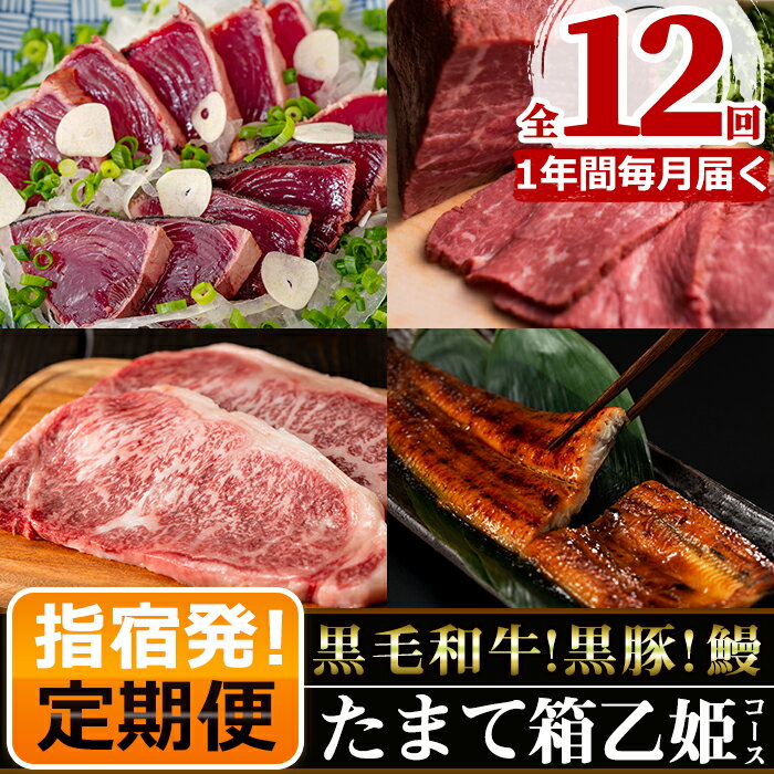 【ふるさと納税】＜定期便・2021年1月から12カ月連続お届け＞指宿のたまて箱乙姫コース！鹿児島県産ウナギの蒲焼き・鹿児島県産黒毛和牛・鹿児島黒豚・カツオのタタキなど♪お肉や魚を楽しむ定期便