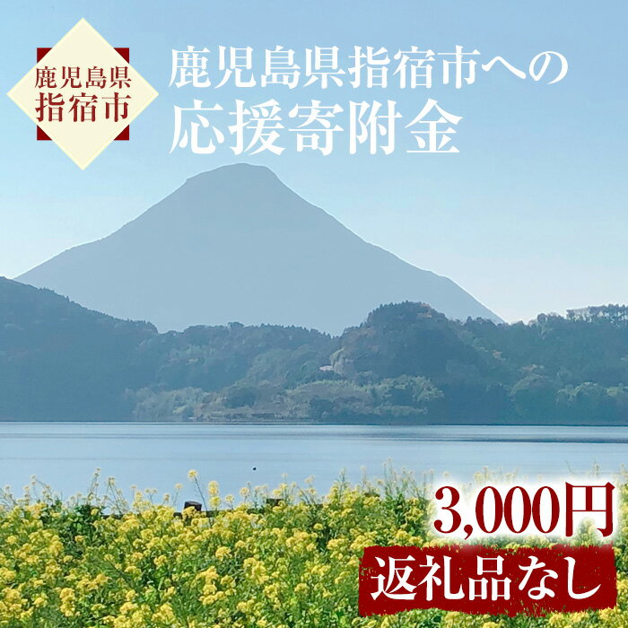 1位! 口コミ数「0件」評価「0」≪返礼品なし≫鹿児島県指宿市への応援寄附金(1口：3000円)