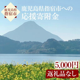 【ふるさと納税】≪返礼品なし≫鹿児島県指宿市への応援寄附金(1口：5000円)