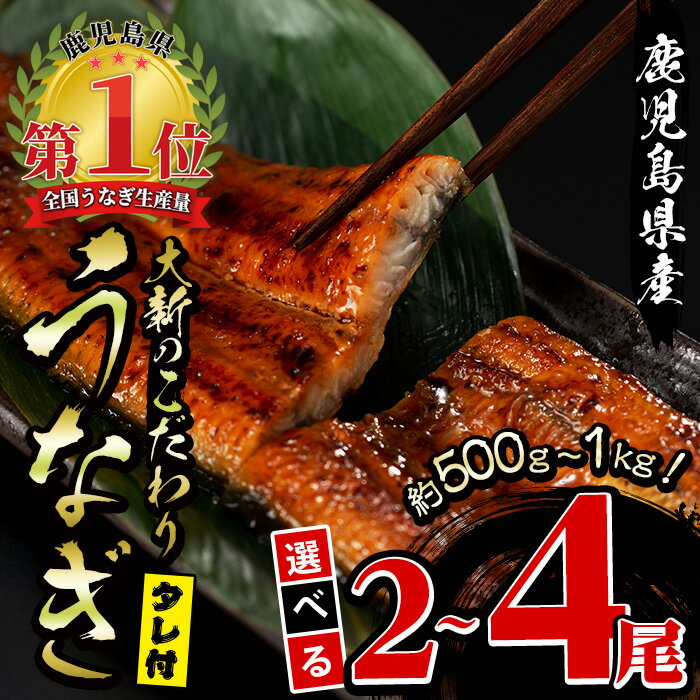 【ふるさと納税】＜内容量が選べる＞鹿児島県産うなぎ蒲焼じっくり焼き 約250g 2尾～約250g 4尾・木目化粧箱入り うなぎ 鰻 ウナギ 無頭 鹿児島 国産 蒲焼 蒲焼き かばやき うな重 ひつまぶし …