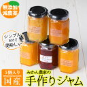 【ふるさと納税】無添加！無着色！無香料！みかん農家こだわりのマーマレード「坂元さんちの手作りジャム」(5個) 鹿児島県 マーマレード ジャム 手作り 無添加 柑橘 伊予柑 八朔 ポンカン 金柑 スモモ 国産【坂元果樹園】