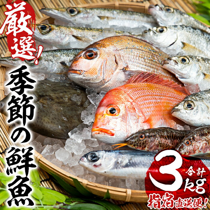 【ふるさと納税】＜指宿産直便＞漁師が選ぶ季節の鮮魚便お試しセット(3〜6種・合計約3kg) 鹿児島 魚 鮮魚 魚介 旬 お刺身 お寿司 煮付 料理 国産【指宿山川水産合同会社】