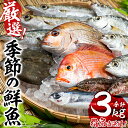 12位! 口コミ数「13件」評価「3.85」＜指宿産直便＞漁師が選ぶ季節の鮮魚便お試しセット(3〜6種・合計約3kg) 鹿児島 魚 鮮魚 魚介 旬 お刺身 お寿司 煮付 料理 国産【指･･･ 