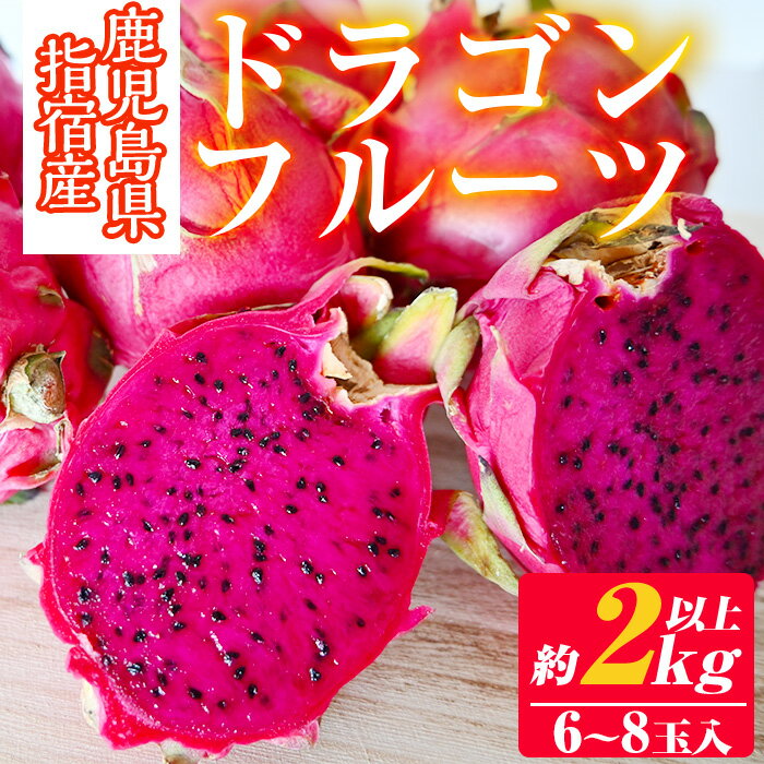 【ふるさと納税】＜先行予約受付中 2024年7月下旬以降順次発送＞鹿児島県指宿市産ドラゴンフルーツ レッドピタヤ 約2kg以上・6〜8玉 1玉250〜400g フルーツ 果物 ドラゴンフルーツ 国産 果実 …