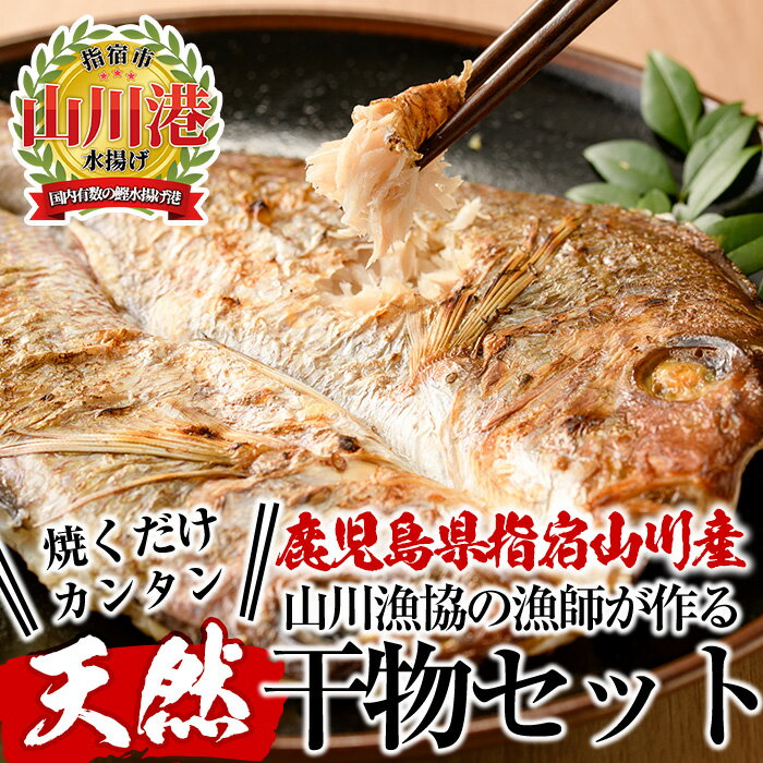 干物 【ふるさと納税】指宿市山川漁協の漁師が作った美味しい干物(5種・計11枚) 鹿児島 干物 ひもの 魚介 魚 真鯛 鯖 サバ さば ブリ ぶり 鰹 カツオ かつお おかず おつまみ セット 詰め合わせ 冷凍【指宿山川水産合同会社】