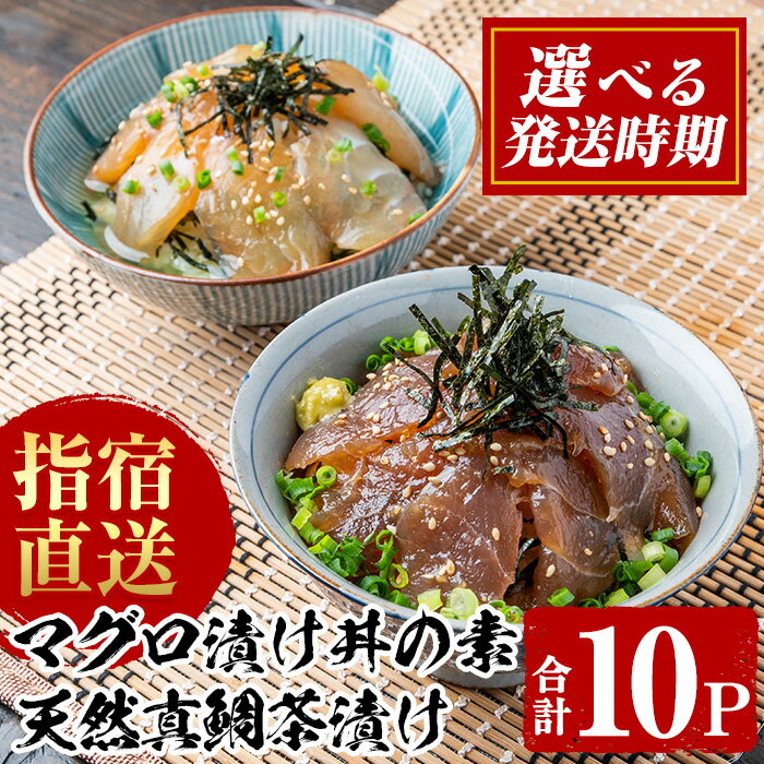 【ふるさと納税】＜発送時期が選べる＞指宿直送便！マグロ漬け丼