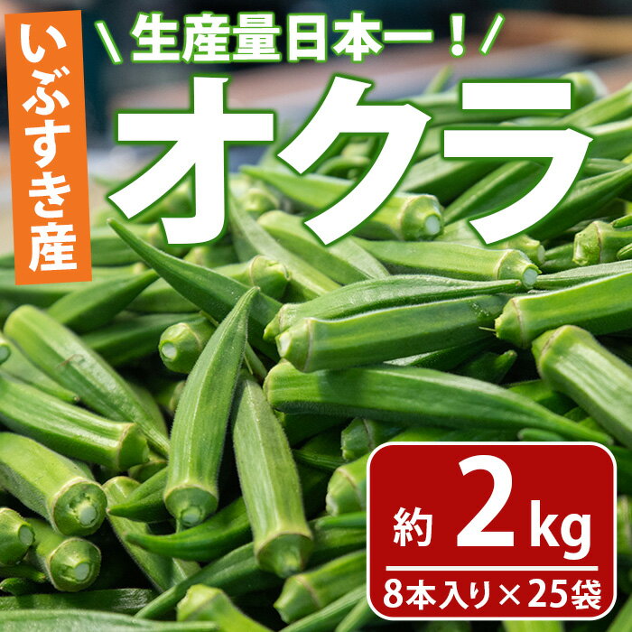 17位! 口コミ数「0件」評価「0」＜先行予約受付中！2024年6月上旬以降順次発送予定＞生産量日本一！オクラ(約2kg・8本入り×25袋)天ぷら、サラダ、お浸しなどに！【いぶ･･･ 