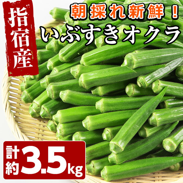 その他野菜(オクラ)人気ランク11位　口コミ数「0件」評価「0」「【ふるさと納税】＜先行予約受付中！2024年7月上旬以降順次発送予定＞夏の元気の源！朝採れ新鮮いぶすきオクラ(約3.5kg)おくら オクラ 豆 野菜 鹿児島県 そうめん 納豆 キムチ 【指宿促成青果】」