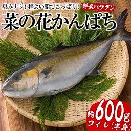 【ふるさと納税】朝〆発送！菜の花かんぱちフィレ1パック半身(約600g) カンパチ フィレ 切り身 菜の花 刺身 真空 パック 骨抜き【指宿山川水産合同会社】