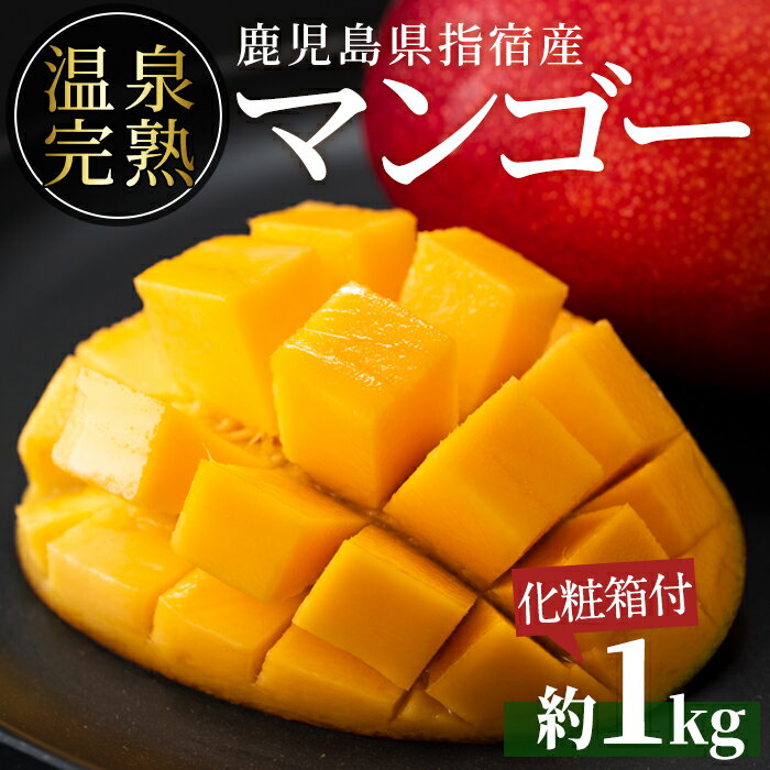 ڤդ뤵Ǽǡۡͽ桪2024ǯ7ܰʹ߽缡ȯ伯縩 ϥޥ󥴡1kg(23)  ޥ󥴡 ʪ ...