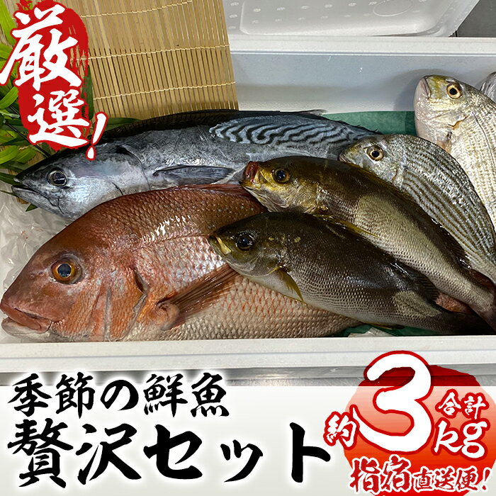 【ふるさと納税】＜指宿産直便＞漁師が選ぶ季節の鮮魚...
