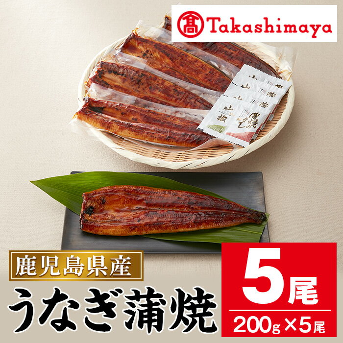 【ふるさと納税】＜高島屋選定品＞鹿児島県産うなぎ蒲焼じっくり焼き(約200g×5尾・たれ・山椒付) うなぎ 鰻 ウナギ 鹿児島 国産 蒲焼き かばやき 冷凍 うな重 ひつまぶし【高島屋】