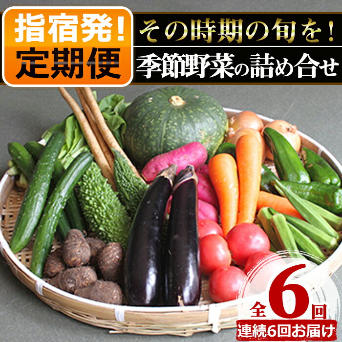 商品説明 厳選した農家さんから直接仕入れた新鮮野菜を季節ごとに10〜13品目の内容でお届けします。 春はそら豆、スナップ、夏はオクラ、秋はさつま芋が有名です。 ■生産者の声 私たちが手塩にかけて育てたおいしい野菜です。 季節によって様々な野菜をお届けいたしますので、何が届くかも楽しみにしてお待ちください。(指宿市青空商店) 名称 定期便 内容量 申し込みの翌月から6回連続でお届け 【お届け野菜の一例】 春：スナップ、そら豆、オクラ、新たまねぎ、春キャベツ、ごぼう、ブロッコリー、ナス等 夏：枝豆、とうがん、オクラ、南瓜、ほうれん草、ネギ類、ナス、じゃがいも等 秋：キャベツ、小松菜、さつま芋、ナス、トマト、ピーマン、さと芋、オクラ等 冬：スナップ、そら豆、キャベツ、さつま芋、インゲン、人参、ピーマン、キュウリ等 【お届け時期の例】 ■12月に寄附した場合 お届け：1月、2月、3月、4月、5月、6月 賞味期限 すべて出荷日＋7日 保存方法 冷蔵 配送方法 冷蔵 備考 ※着日指定はお受付できません。 ※旬の野菜をお届けいたしますので、品目は季節によって変わります。内容につきましては、お選びいただくことができません。ご了承の上、お申し込みください。 ※収穫状況・天候により、発送予定から前後する場合がございます。 ※生鮮物ですので消費期限は目安となります。状態をよくご確認の上、お早めにお召し上がりください。 ※画像はイメージです。 加工業者・提供元 岡村商店 発送可能な時期 申し込みの翌月から6回連続でお届け 関連キーワード 鹿児島 野菜 季節の野菜 旬の野菜 旬 詰合せ セット 国産 冷蔵 定期便 スーパーセール お買い物マラソン お礼の品 お取り寄せ おすすめ謝礼品 おすすめ御礼の品 グルメ 1月 お年賀 正月 成人の日2月 節分 旧正月 3月 ひな祭り 春分の日 卒業 卒園 お花見 春休み4月 イースター 入学 就職 入社 新生活 新年度 春の行楽5月 ゴールデンウィーク こどもの日 母の日6月 父の日 7月 七夕 8月 夏休み 残暑見舞い お盆 帰省9月 敬老の日 シルバーウィーク10月 孫の日 11月 七五三 勤労感謝の日12月 クリスマス 大晦日 冬休み 寒中見舞い 6回 お楽しみ ・ふるさと納税よくある質問はこちら・寄附申込みのキャンセル、返礼品の変更・返品はできません。あらかじめご了承くださ い。入金確認後、注文内容確認画面の【注文者情報】に記載の住所に1ヶ月以内に発送いたします。 ワンストップ特例申請書は入金確認後1ヶ月以内に、お礼の特産品とは別に住民票住所へお送り致します。