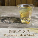 【ふるさと納税】<ガラス工芸品>銀彩 グラス(1個・直径110mm×120mm) ガラス グラス ペア 器 うつわ 食器 一点もの ギフト プレゼント 誕生日 還暦祝い 贈答品 贈り物 【宮澤ガラス工房】