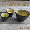 【ふるさと納税】<ガラス工芸品>ガラス黒薩摩 桜島灰酒器(片口・盃2個) 酒器 片口 盃 ペア 日本酒 食器 器 うつわ ガラス 一点もの ギフト プレゼント ...