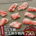 【ふるさと納税】A5等級鹿児島県産黒毛和牛焼肉切り落とし(計750g・250g×3P) 牛肉 焼き肉 切り落とし 炒め物 冷凍 肉 黒毛和牛 和牛 国産 A5 【カミチク】