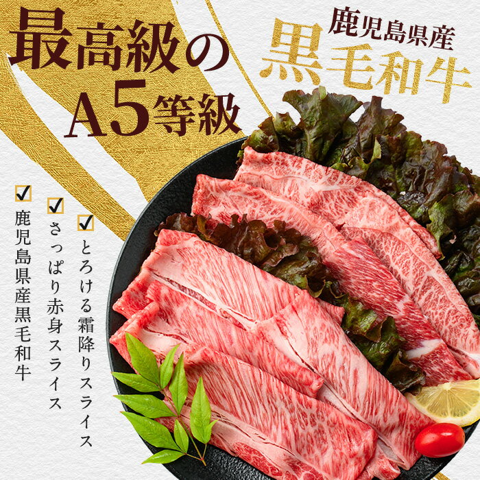 鹿児島県指宿市の画像3