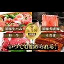【ふるさと納税】<定期便!全4回(連続)>黒豚・和牛・うなぎ鹿児島よくばり定期便! 牛肉 切り落とし 黒毛和牛 和牛 a5 すき焼き しゃぶしゃぶ スライス 豚...